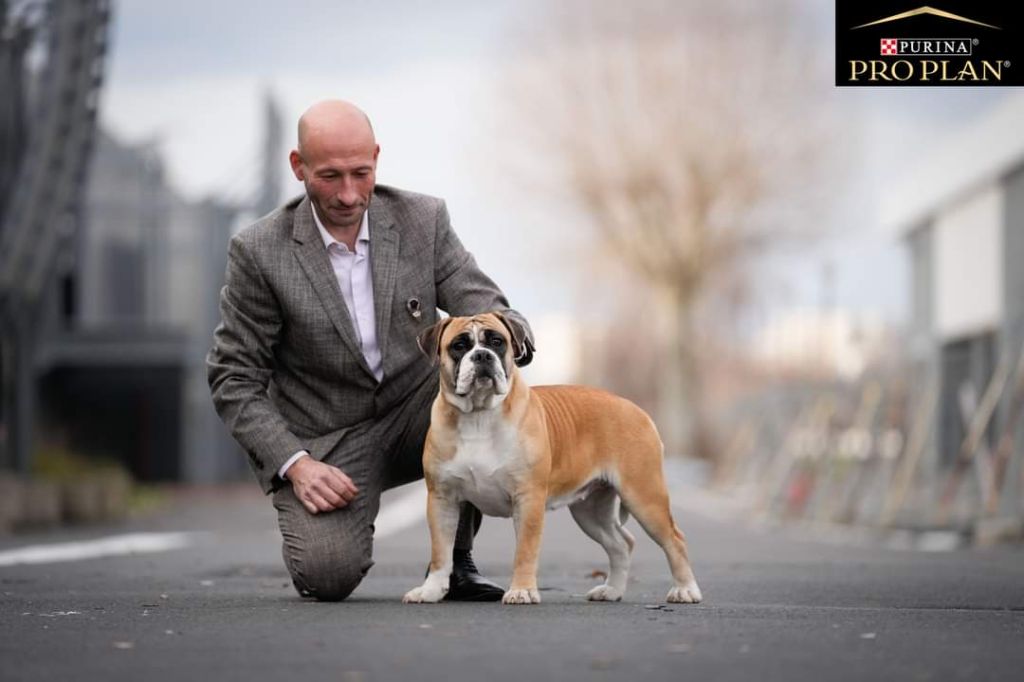 Tornade Du Lor'molosses