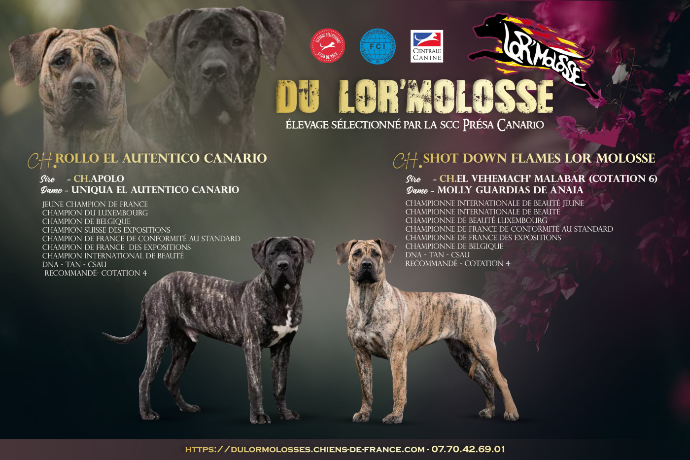 Des bébés arrivent